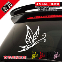 L557汽車裝飾產品全面指南 從選購到安裝的終極參考